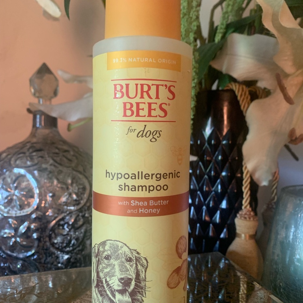 Burt's Bees Hypoallergenic Dog Shampoo with Shea Butter